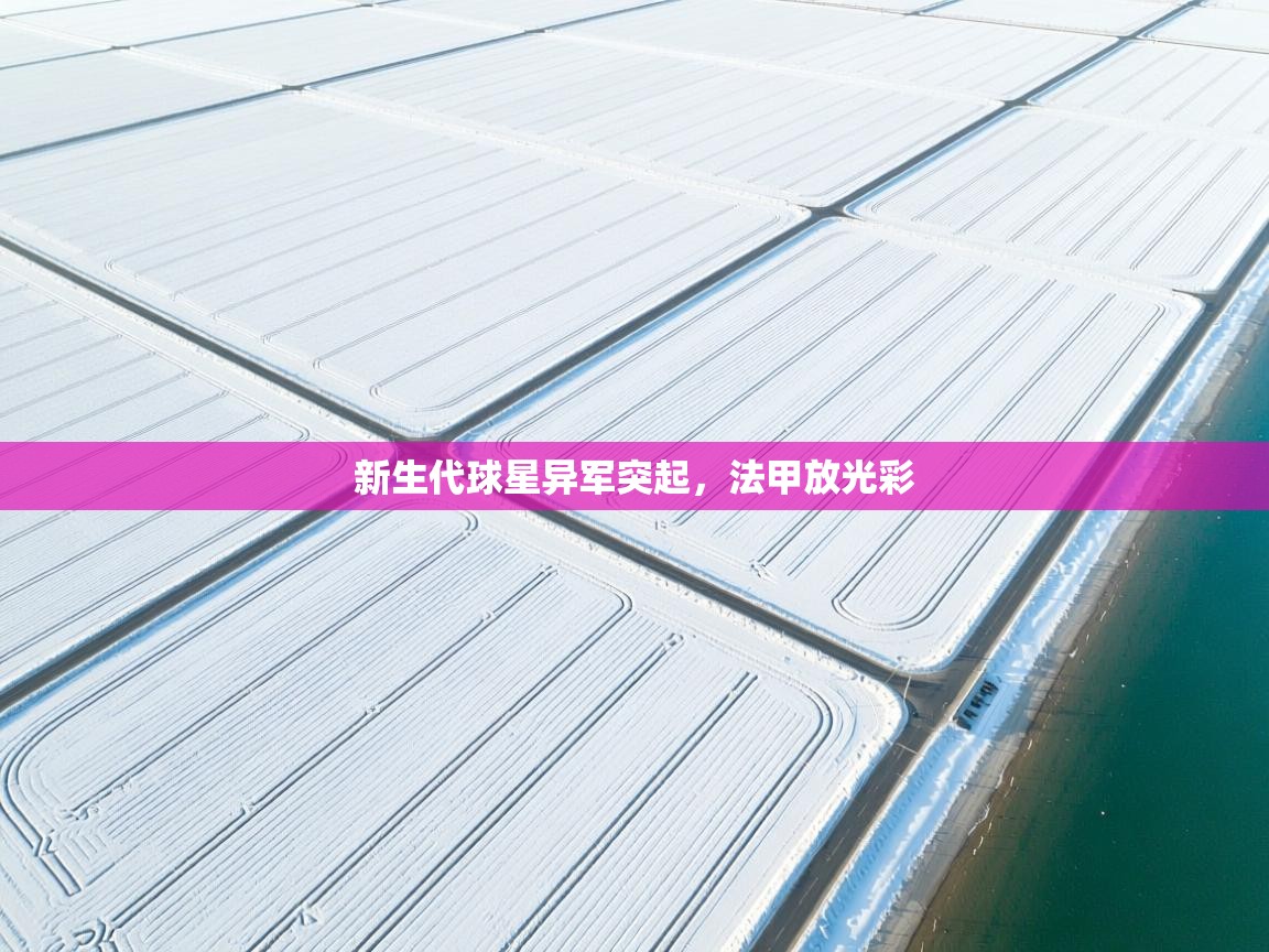 新生代球星异军突起，法甲放光彩  第1张